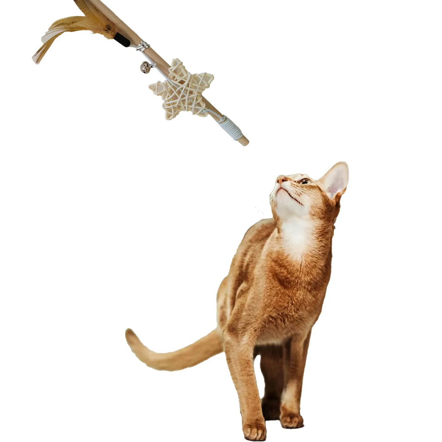 Juguete Vara para Gato Petizoos