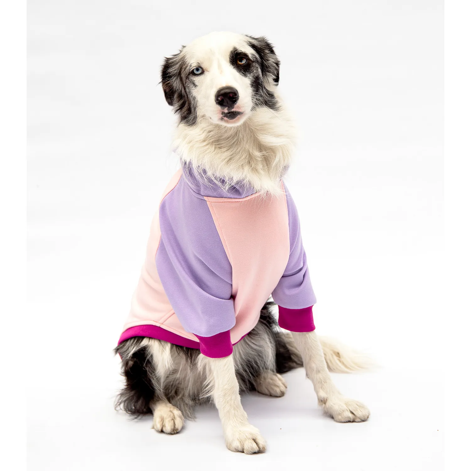 Buzo Para Perro Colores Talla M Petizoos
