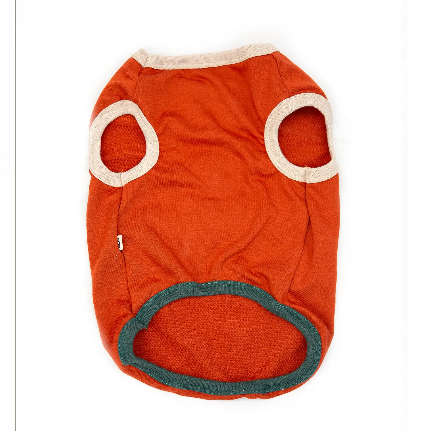 Esqueleto Para Perro Glaciar Talla M Petizoos 3