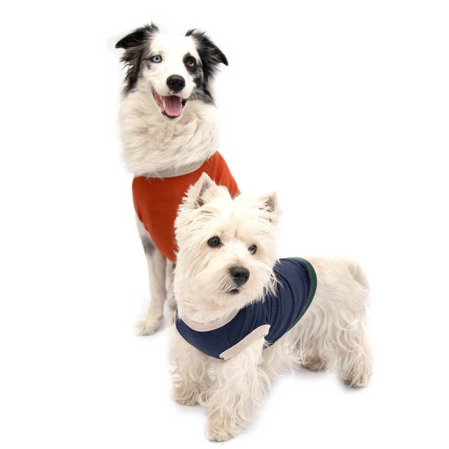 Esqueleto Para Perro Glaciar Talla L Petizoos 3