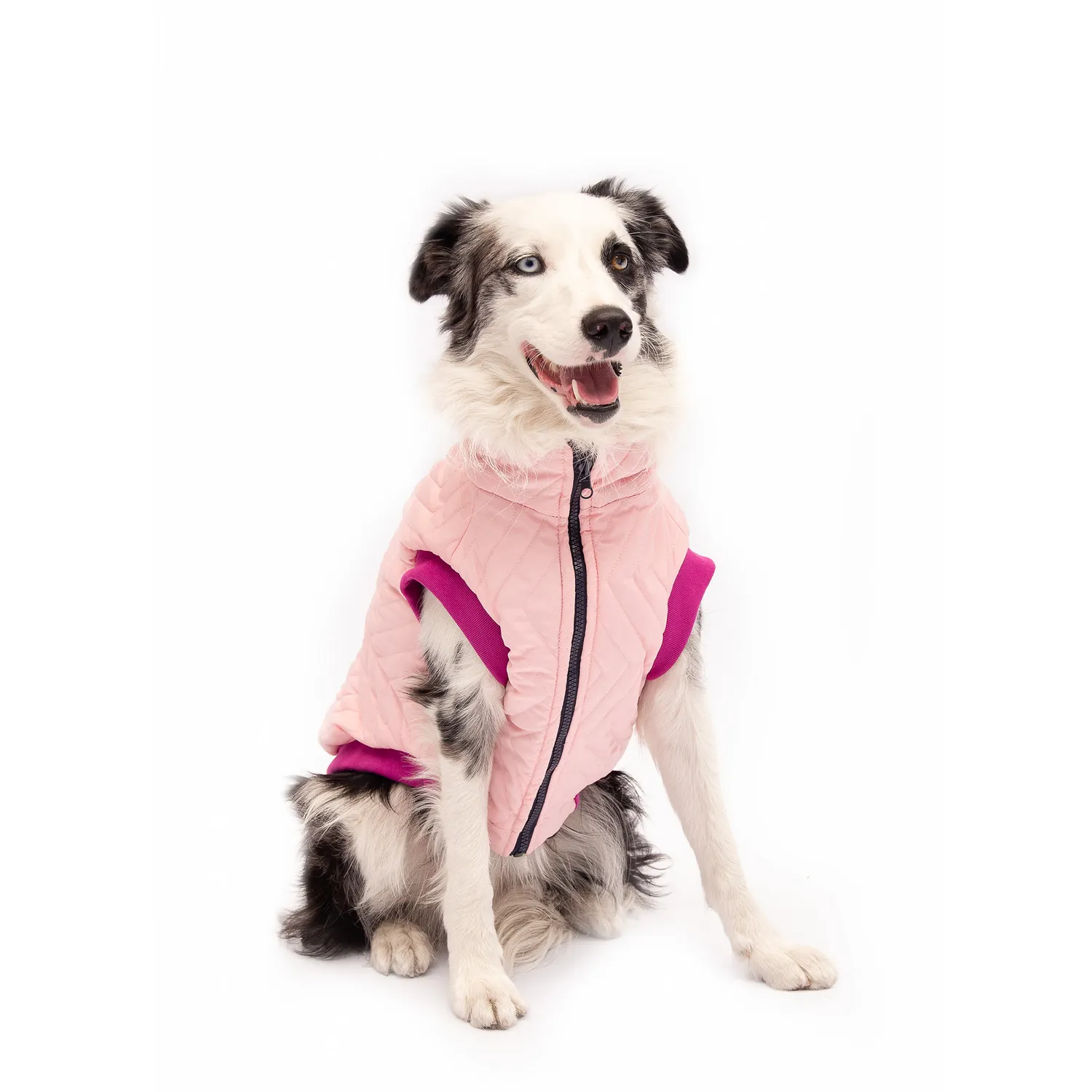 Chaleco Para Perro Premium Talla M Petizoos