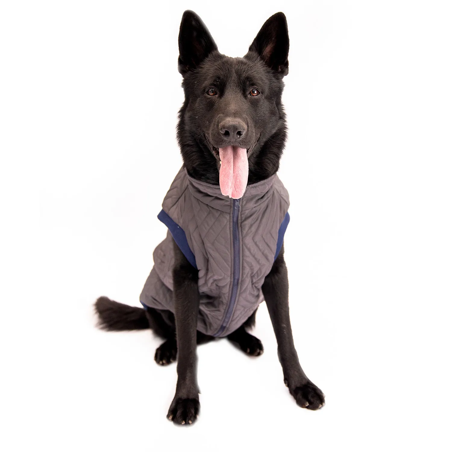Chaleco Para Perro Premium Talla L Petizoos