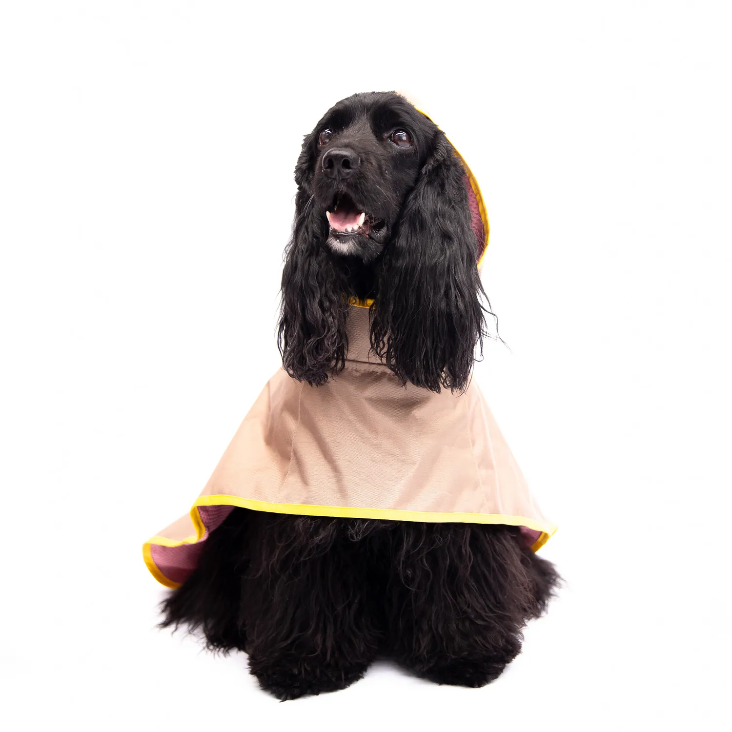 Capa Para Perro Vaquita Talla M Petizoos