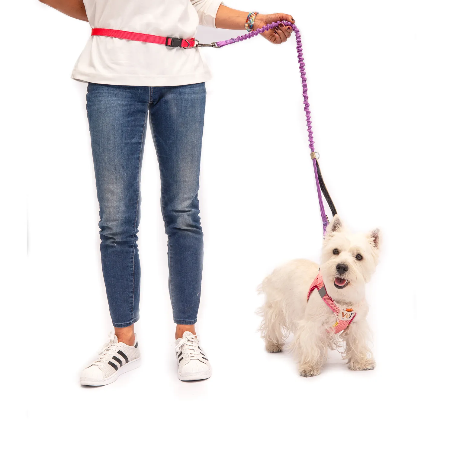Collar Mascotas Manos Libres Talla L Petizoos 3