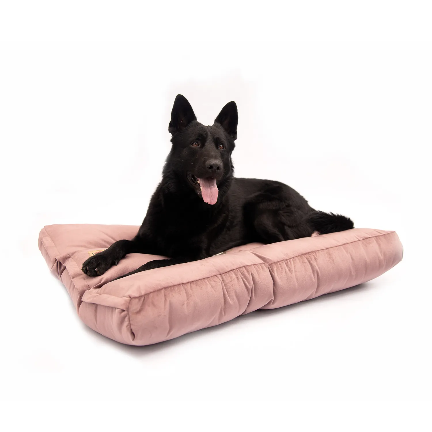 Colchoneta Para Perro Grande Lujo Petizoos