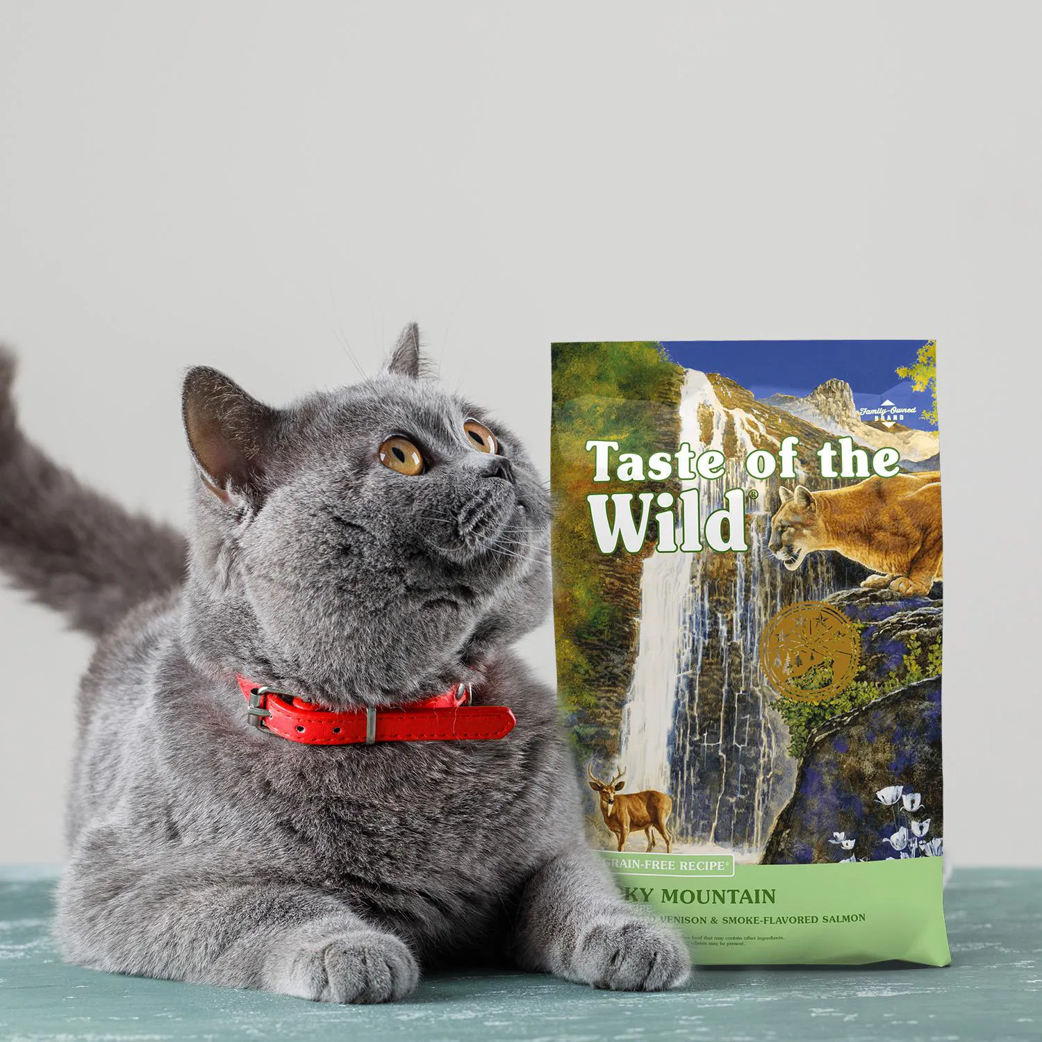 Comida Seca Para Gato Taste Of The Wild Rocky 500gr 4