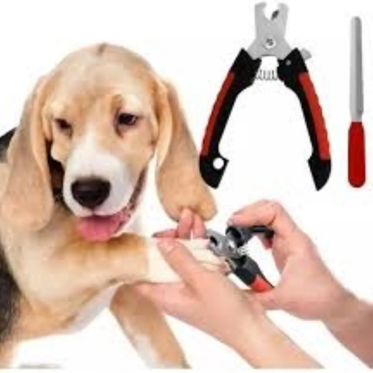 Corta Uñas Para Perro Talla S Gro