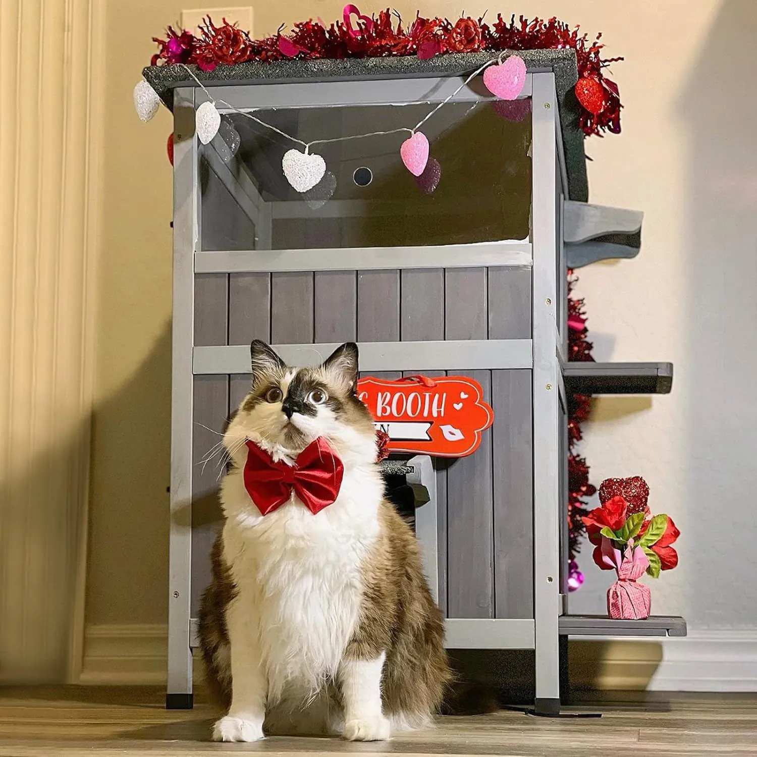 Casa de Gato Aivituvin 2 Pisos con Puerta de Escape