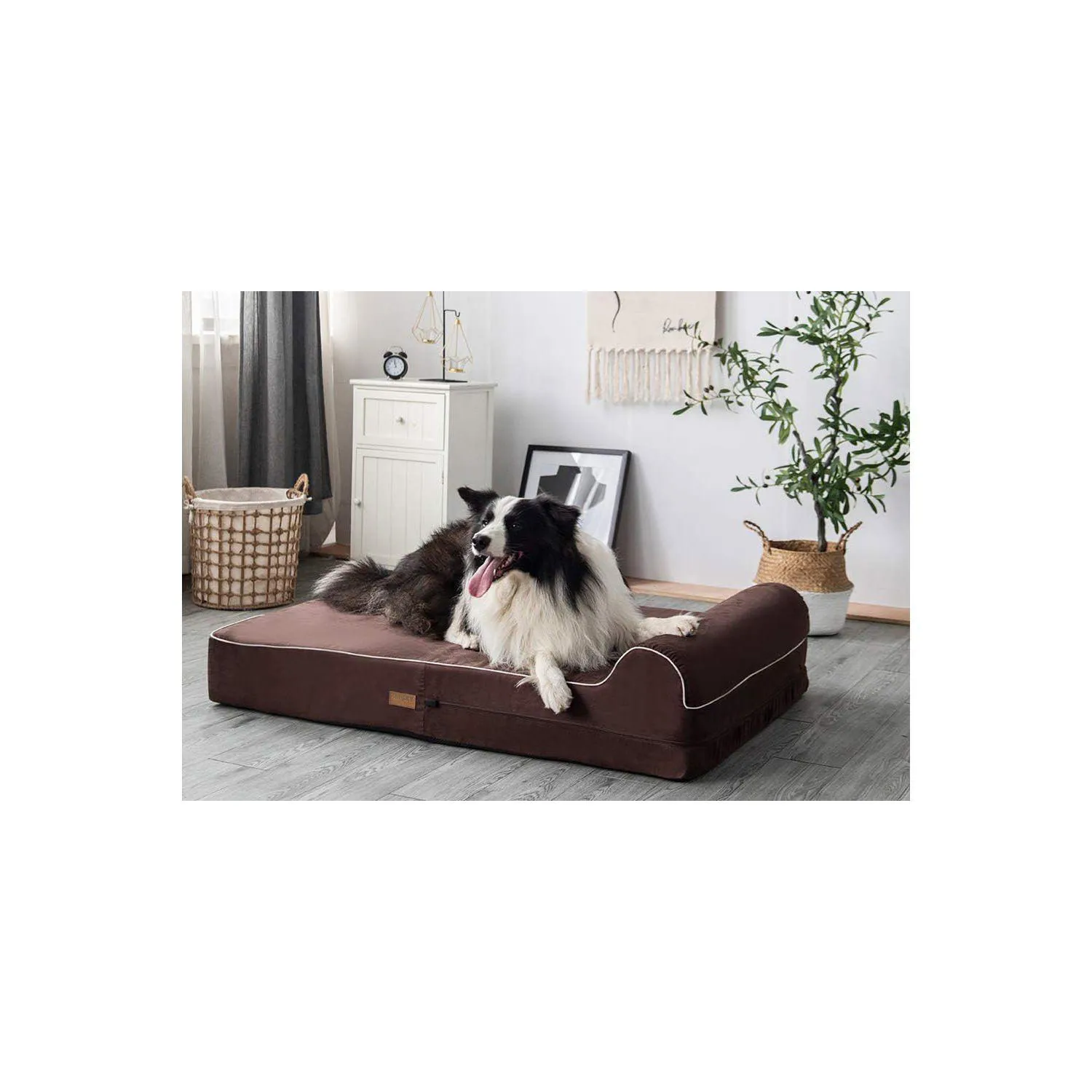 Cama Jumbo Orthopédica para Perros con Memory Foam