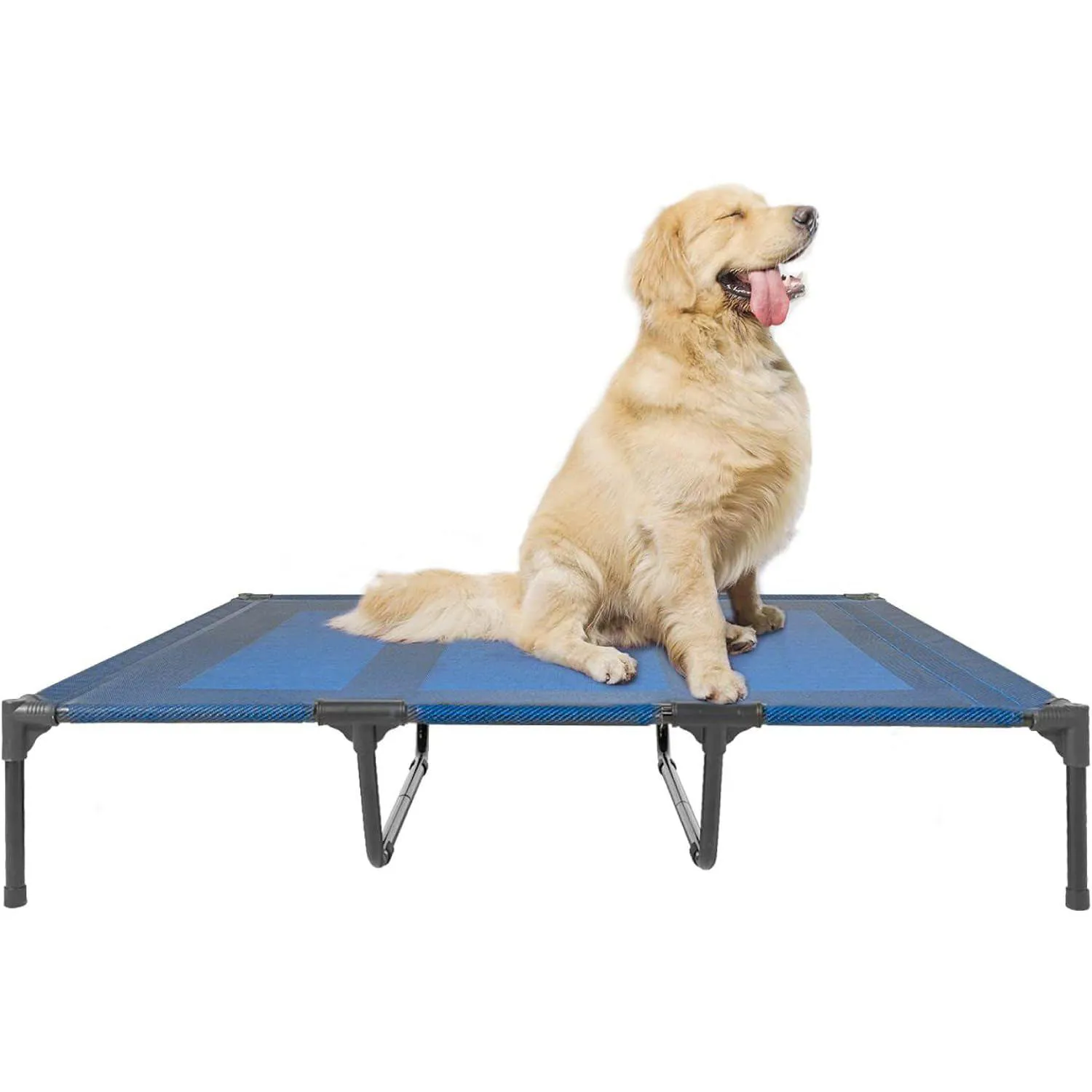 Cama Elevada Impermeable para Perros Suddus XL Portátil y Cómoda