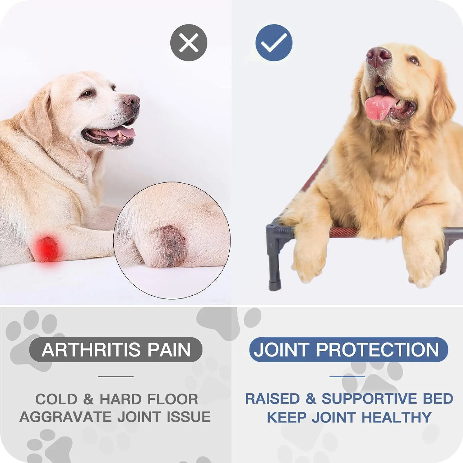Cama Elevada Impermeable para Perros Suddus XL Portátil y Cómoda 6