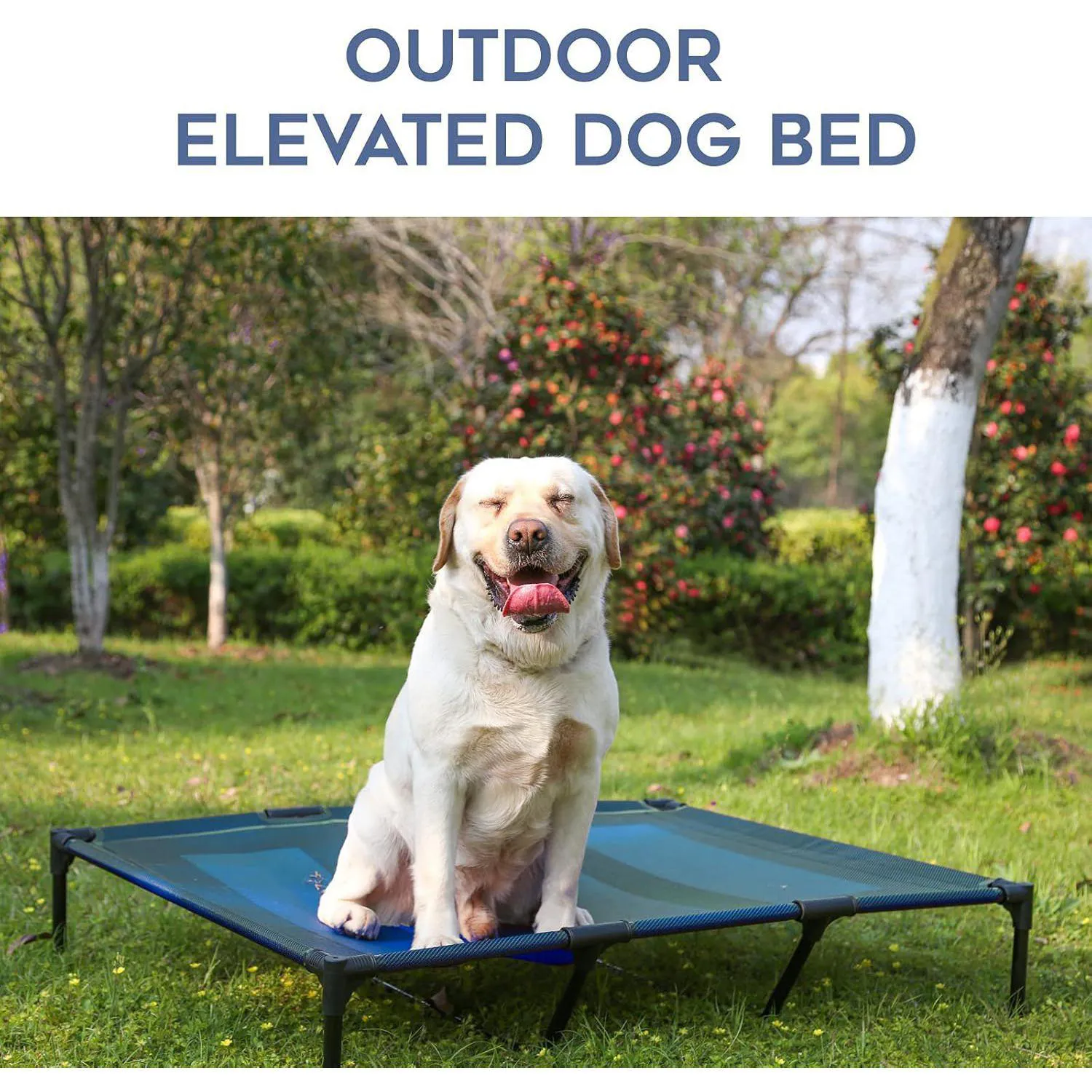 Cama Elevada Impermeable para Perros Suddus XL Portátil y Cómoda 7