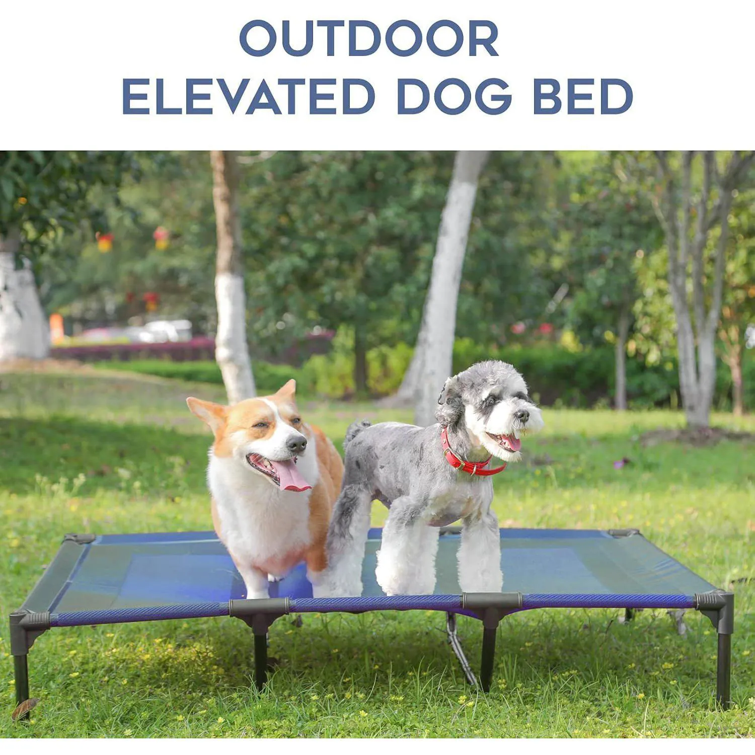 Cama Elevada Impermeable para Perros Suddus XL Portátil y Cómoda 9