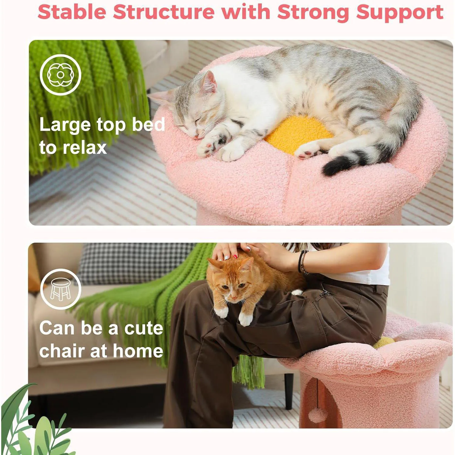 Cama para Gatos PETEPELA Casa Grande con Cama Removible 3