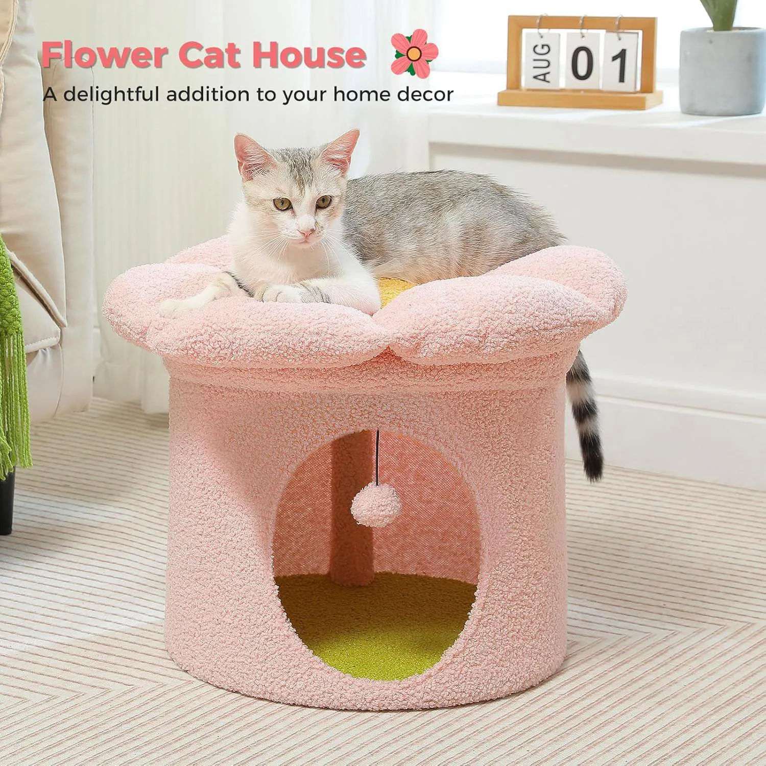 Cama para Gatos PETEPELA Casa Grande con Cama Removible 8
