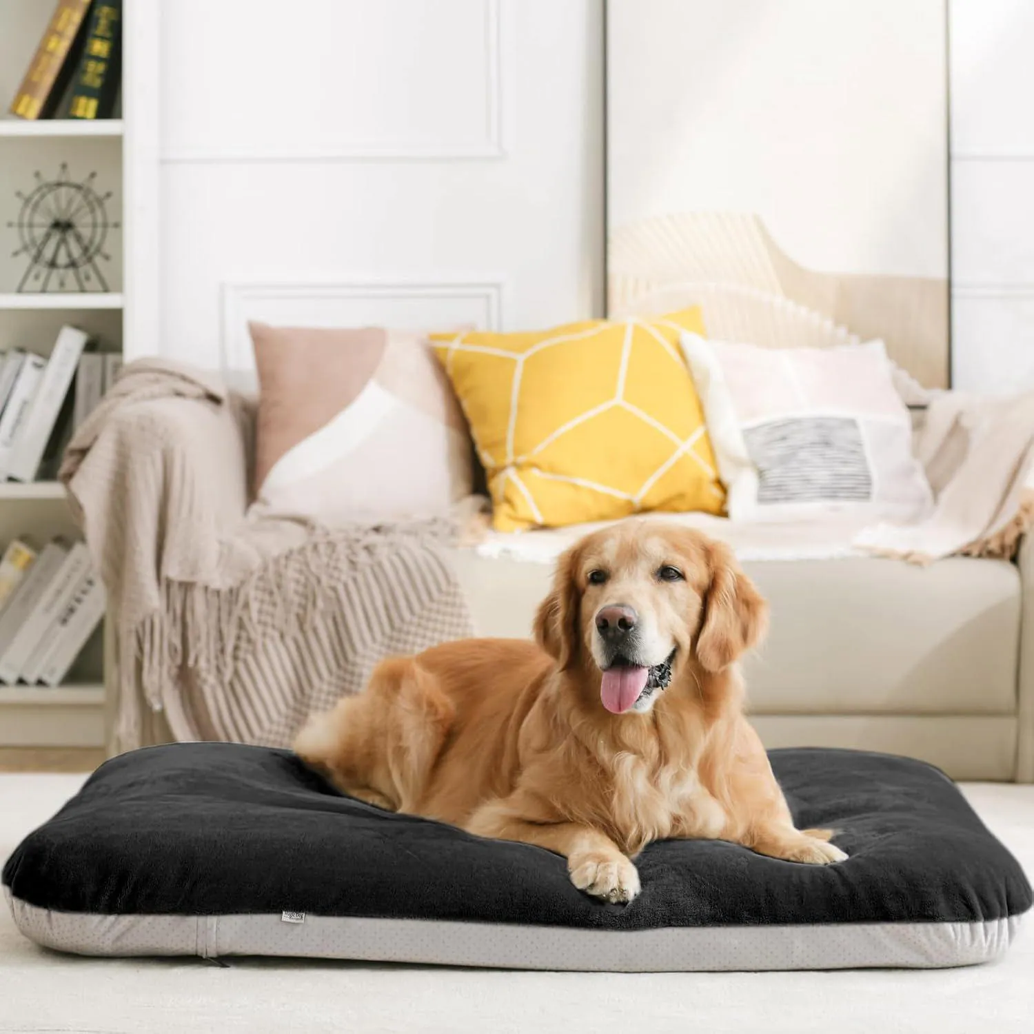 Cama Ortopédica XL para Perros Magic Dog 4
