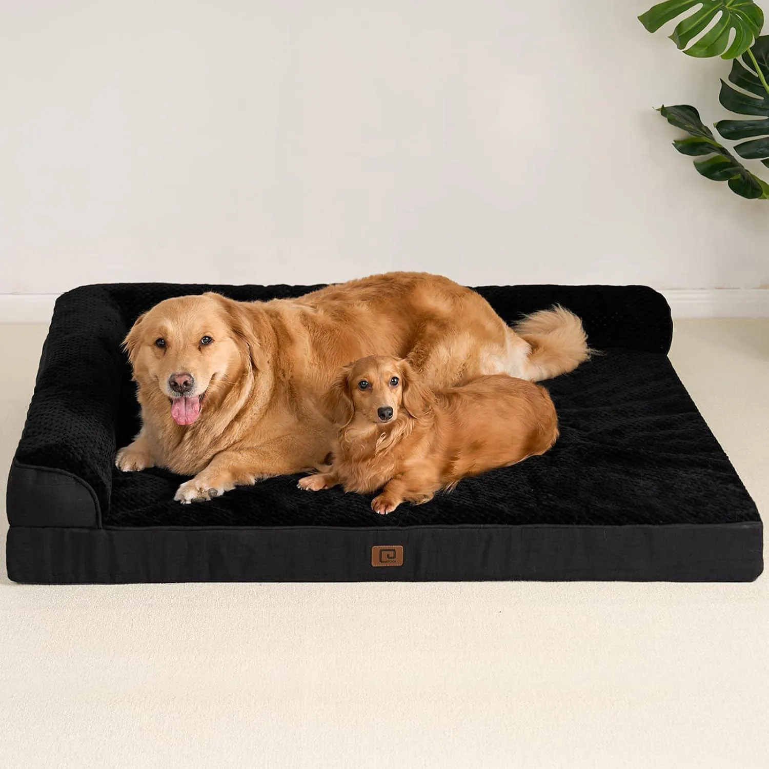 Cama Ortopédica Impermeable para Perros Medianos EHEYCIGA 7