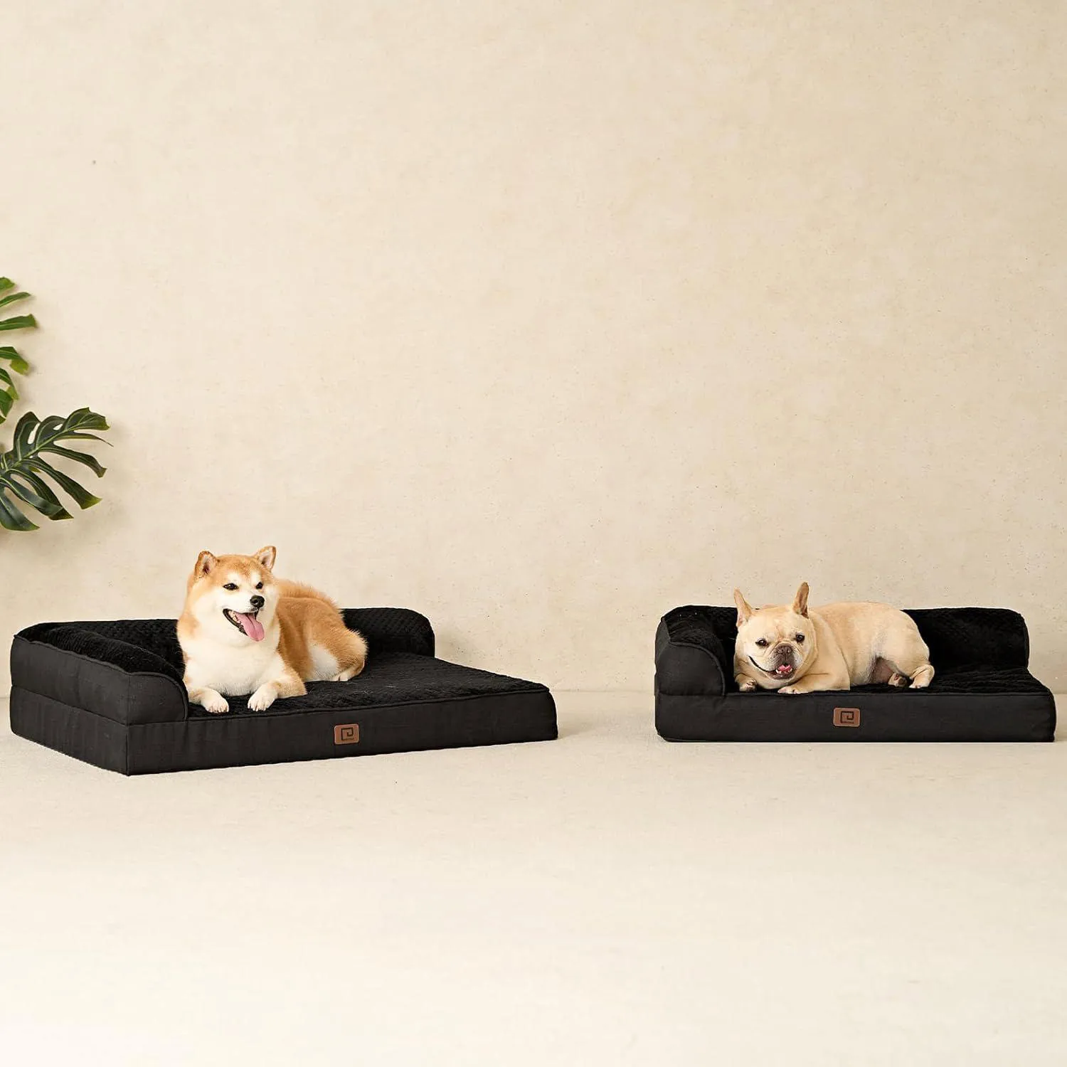 Cama Ortopédica Impermeable para Perros Medianos EHEYCIGA 8