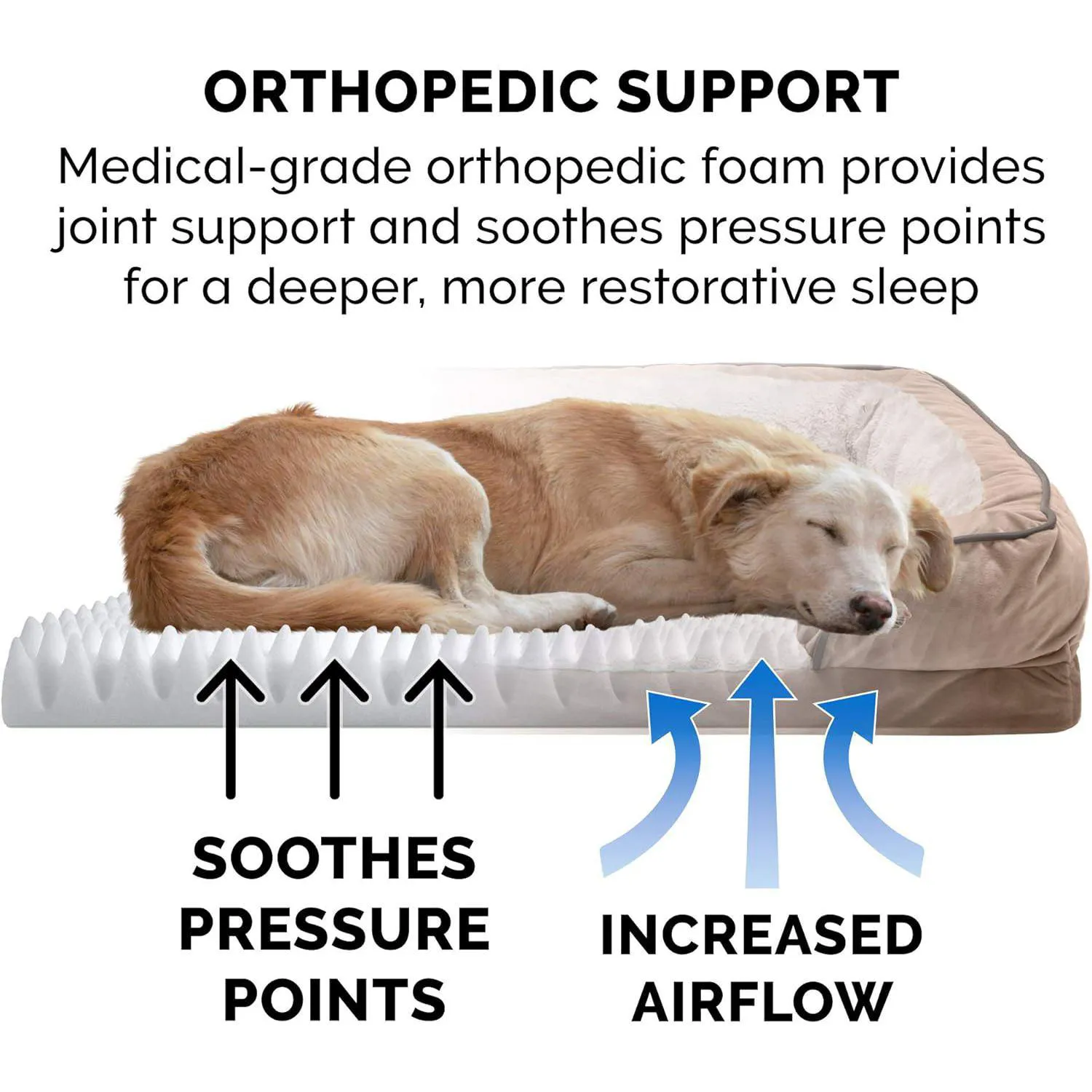 Cama Ortopédica Lavable para Perros Grandes Furhaven Jumbo/XL 6