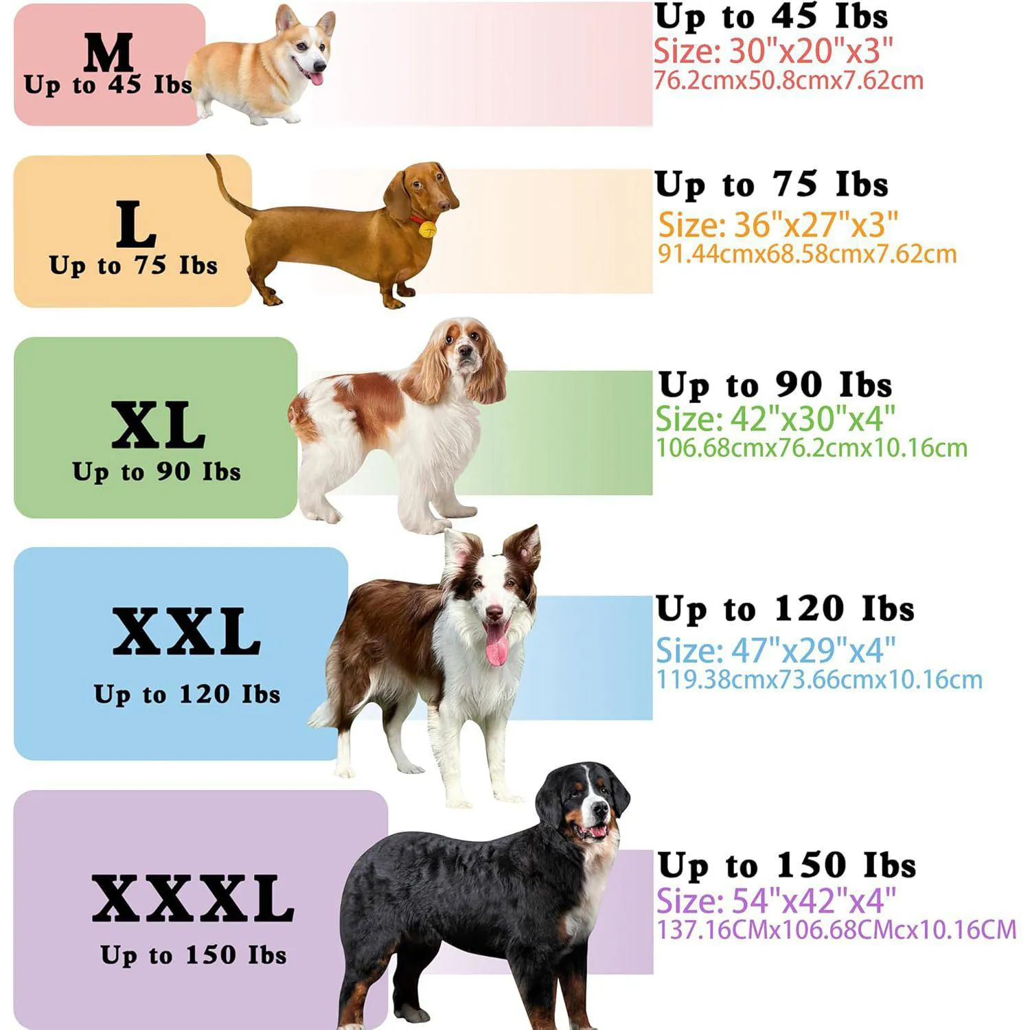 Cama Ortopédica XL Para Perros Con Funda Lavable y Diseño Antideslizante 5
