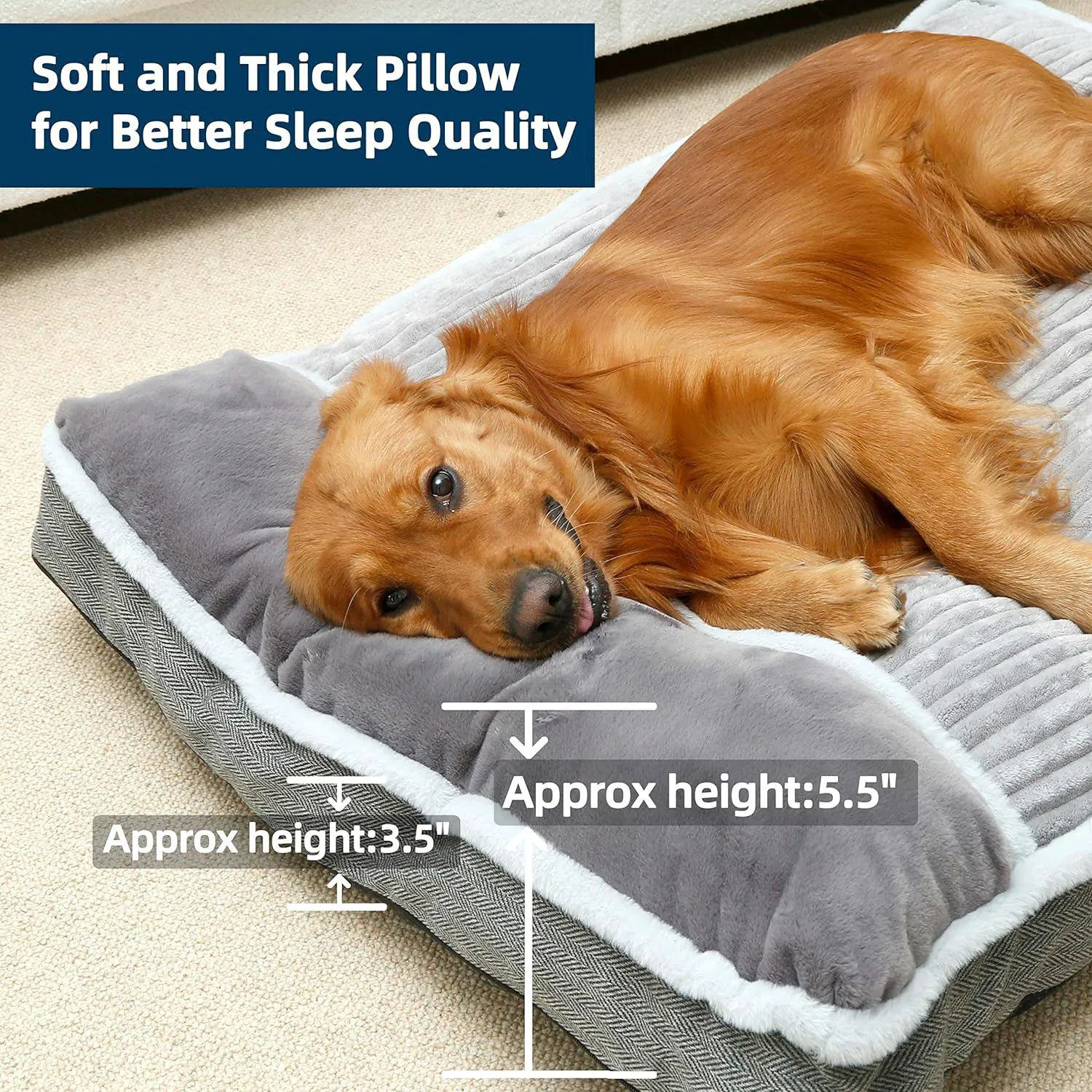 Cama Grande para Perro con Almohada Suave 5