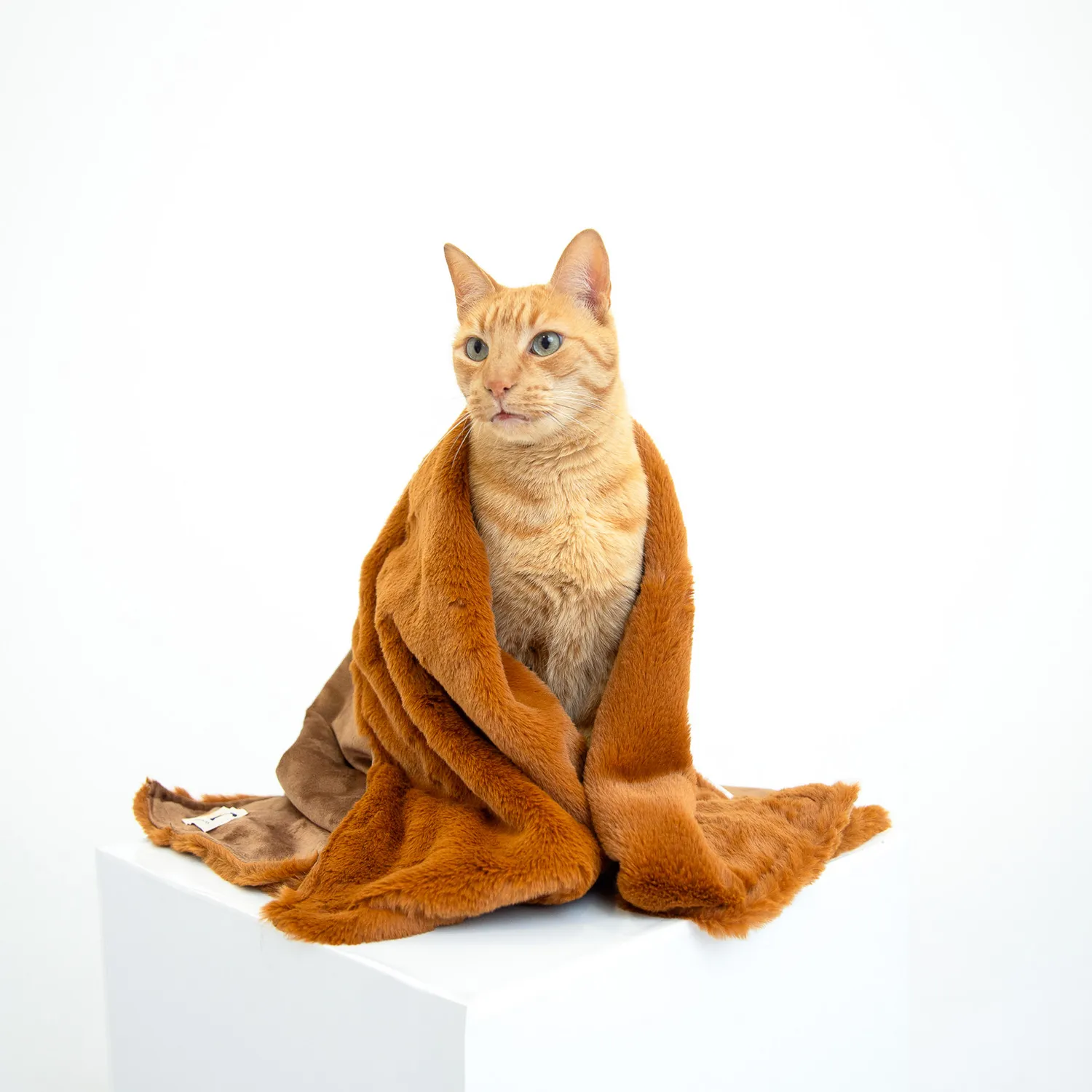 Cobija Para Mascotas Súper Premium Ts Petizoos