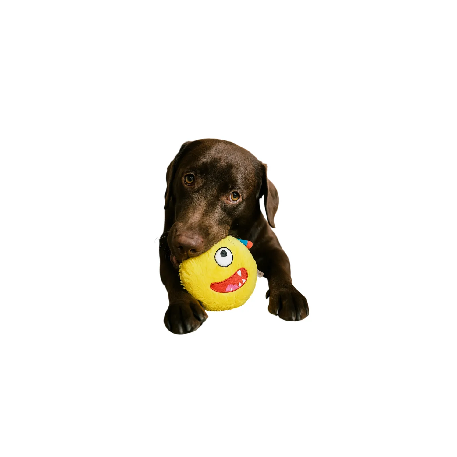 Juguete peluche interactico con sonido marciano nunbell para perro