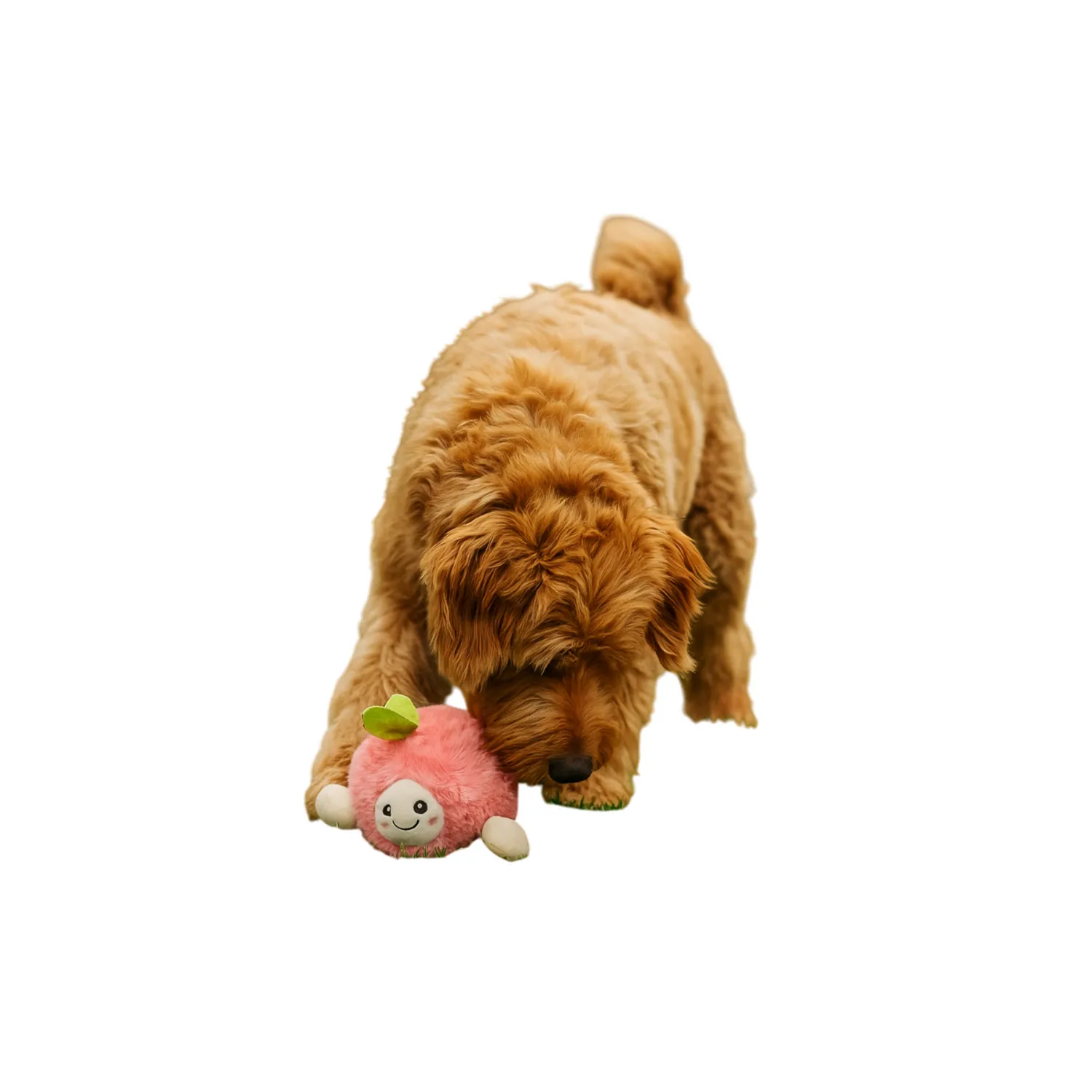 Juguete peluche interactico con sonido manzana nunbell para perro