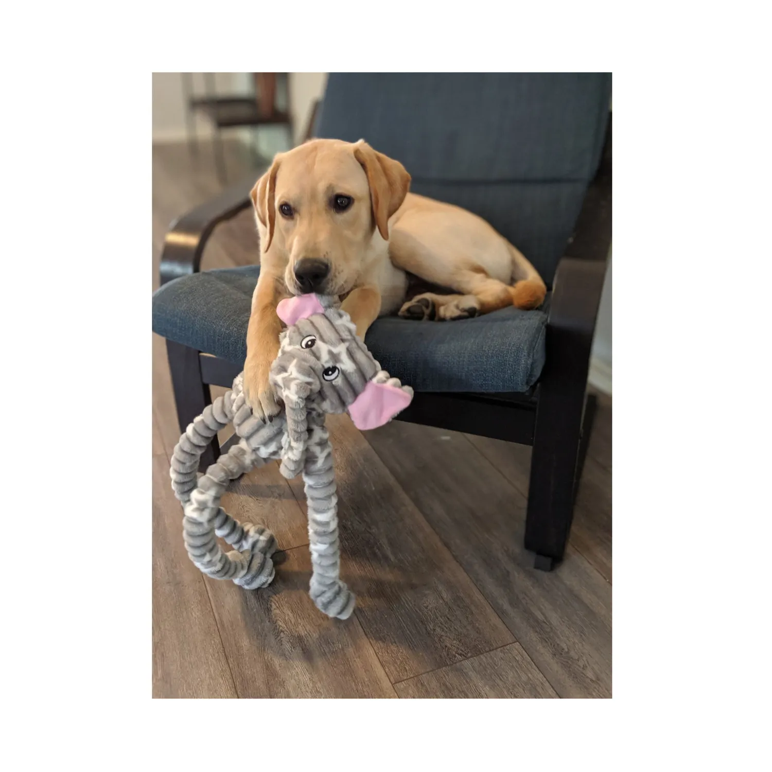 Juguete peluche interactico con sonido elefante patchwork para perro 24in 3
