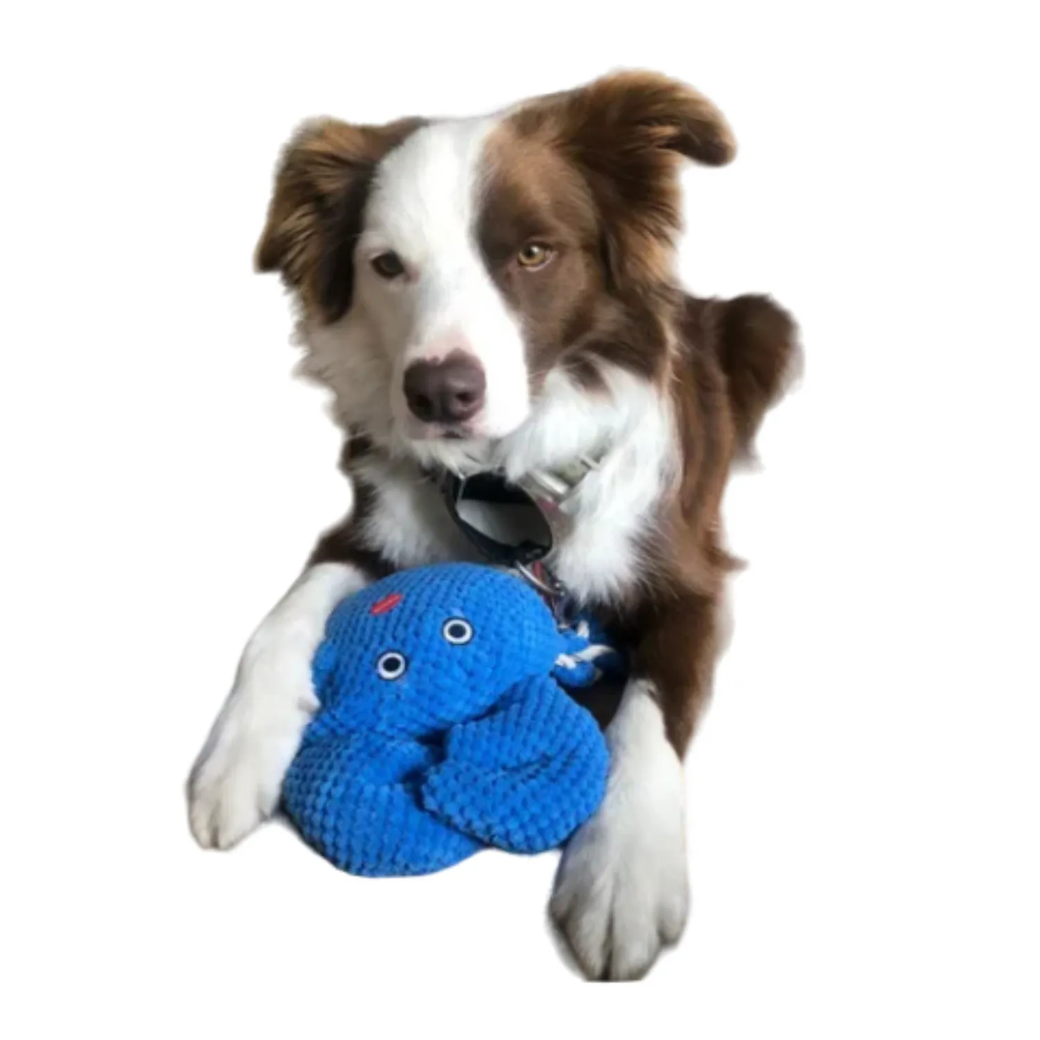 Juguete peluche interactico con sonido cangrejo patchwork para perro 15in
