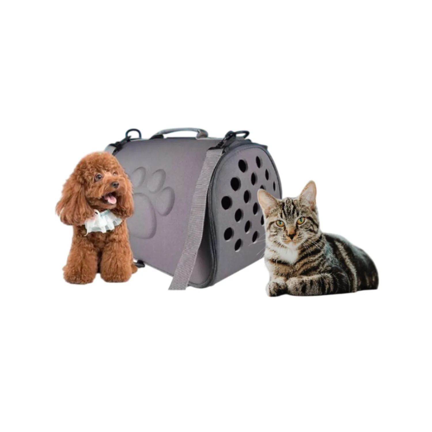 Bolso cargador transxte luna mascotas 49x29x25cm petvogue color verde material eva 4