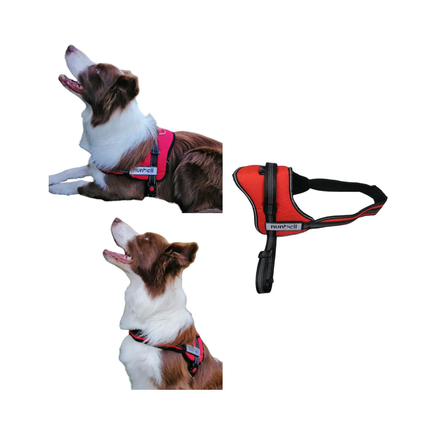 Arnes pechera para perro color negro talla xl front nunbell
