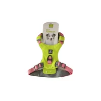 Arnés pechera con reflectivo para perro verde talla xl nunbell
