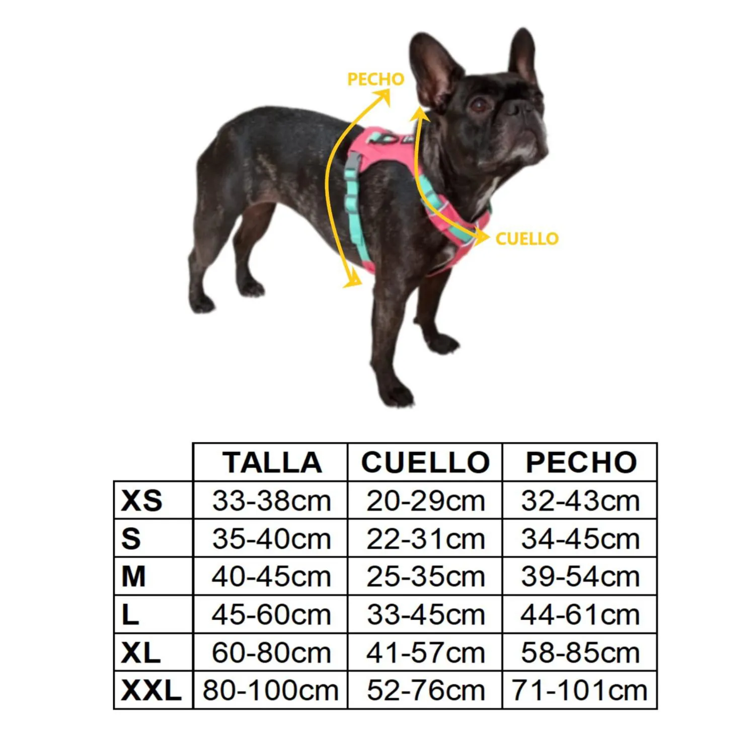 Arnés pechera con reflectivo para perro celeste talla m nunbell 4