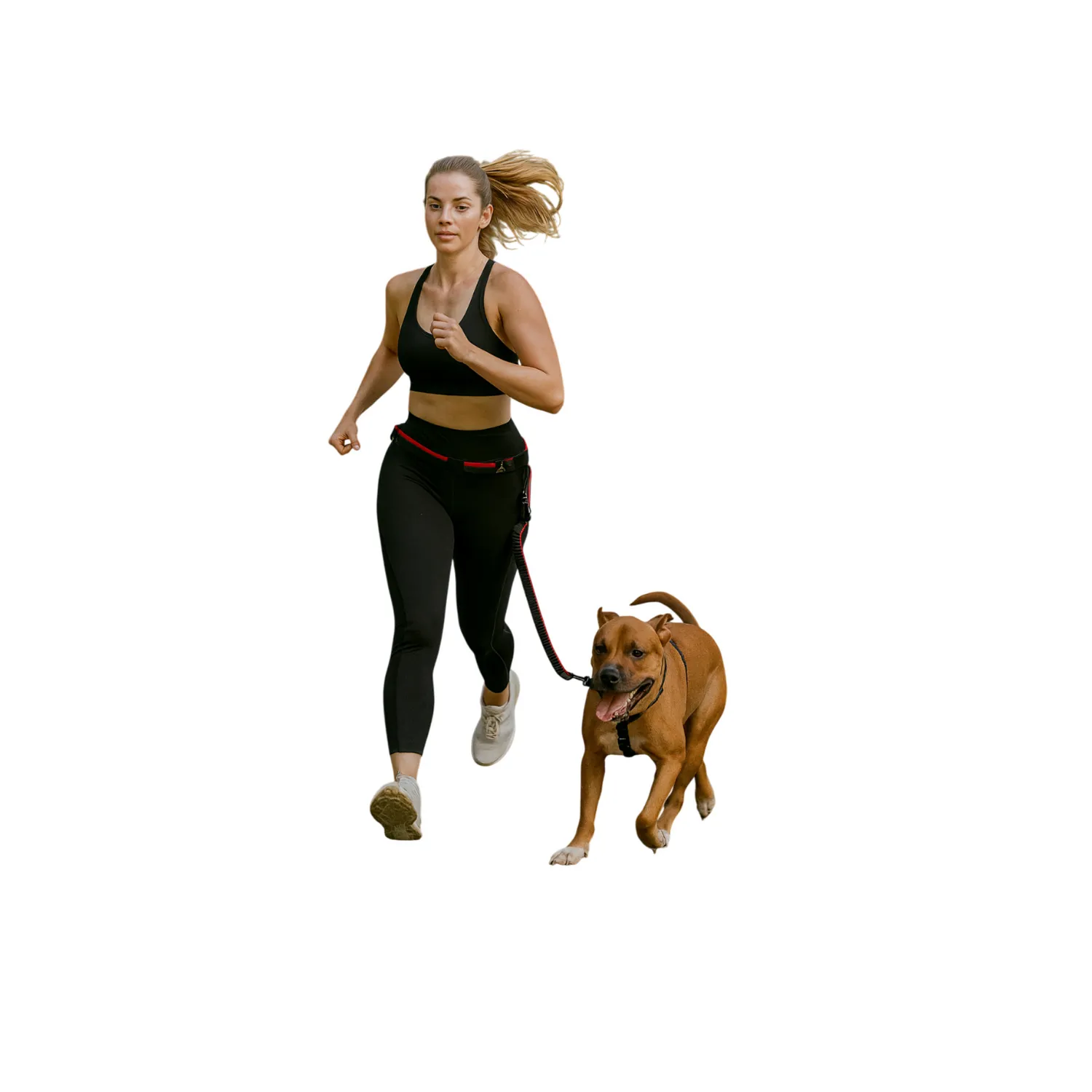 Correa para perro nunbell manos libres resortada running rojo 1.50m