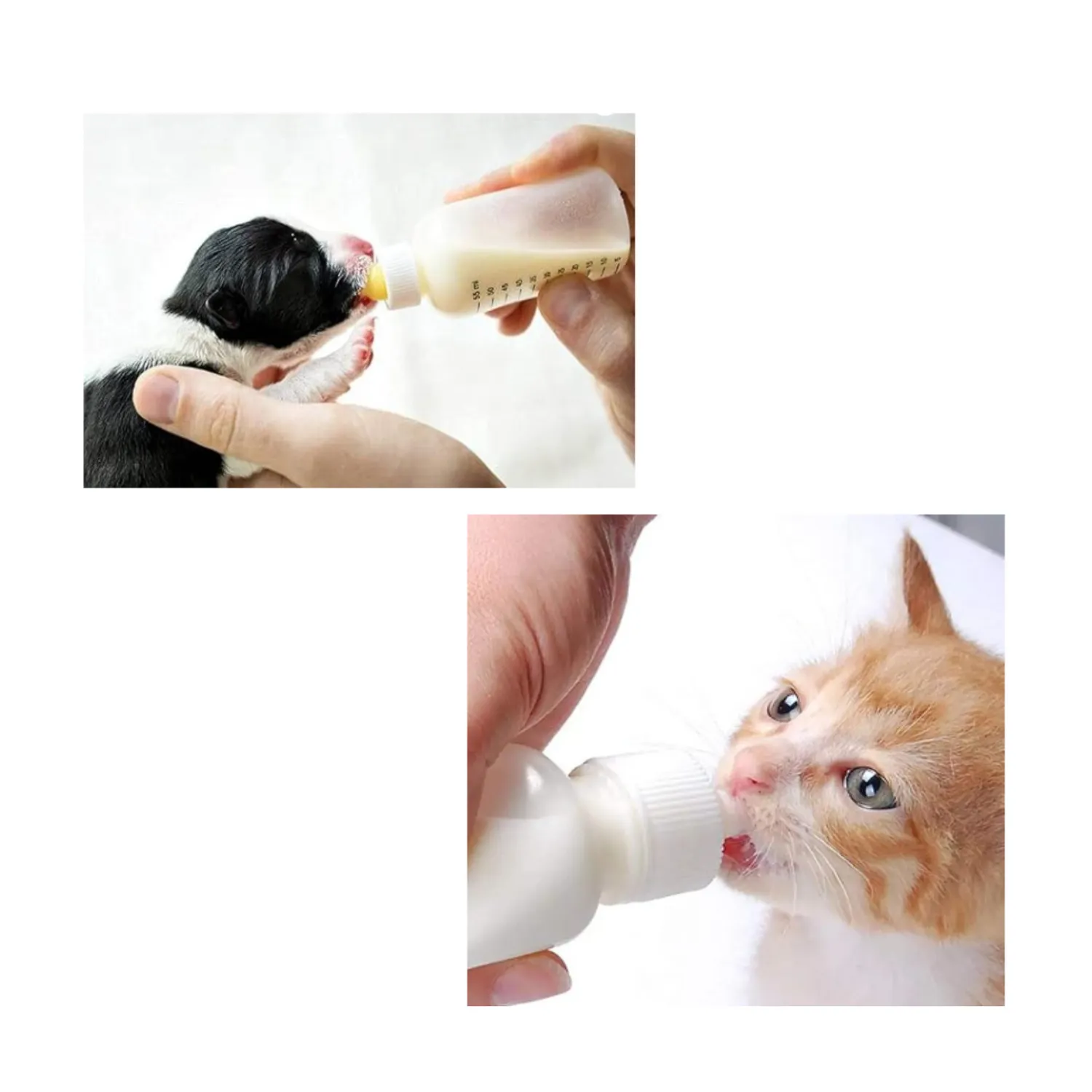 Biberón lactancia mascotas 120ml cachorros con cepillo para lavar verde 4