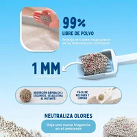 Arena Sanitaria Para Gato Bentonita Aglomerante Talco De Bebé Calabaza Pets 4.5k