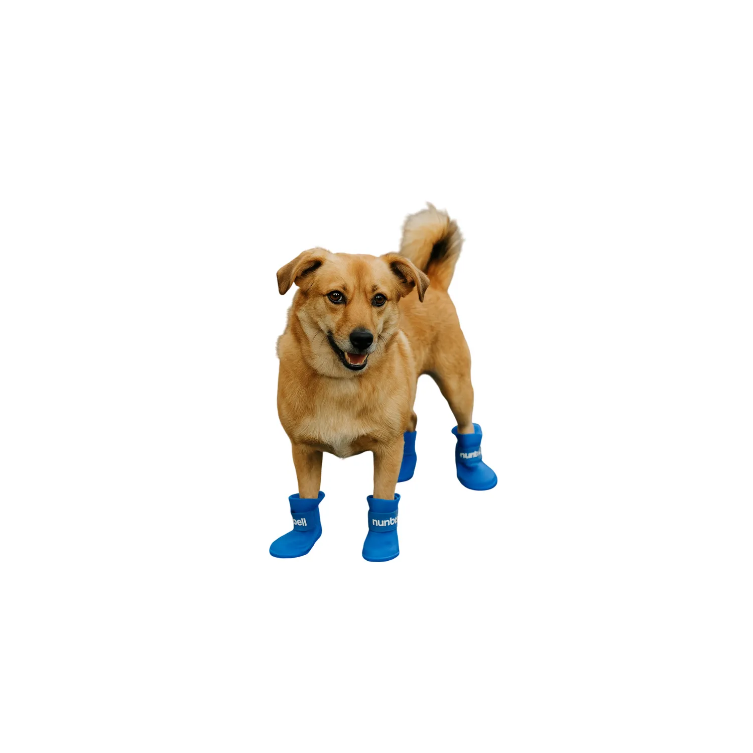 Botas zapatos lluvia para perro talla s nunbell color amarillo