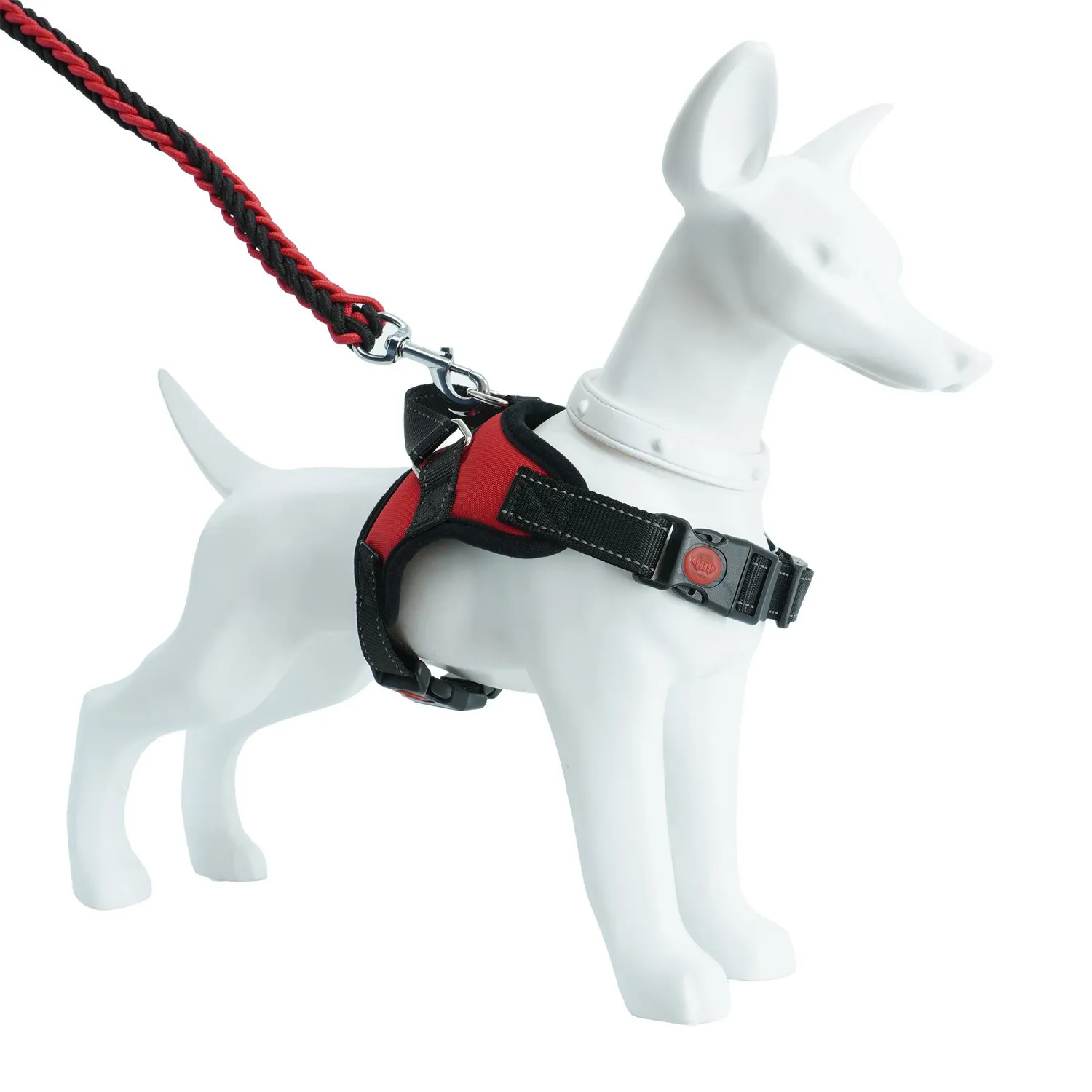 Traílla Para Perro Trenzada Con Arnés Talla M Calabaza Pets 3