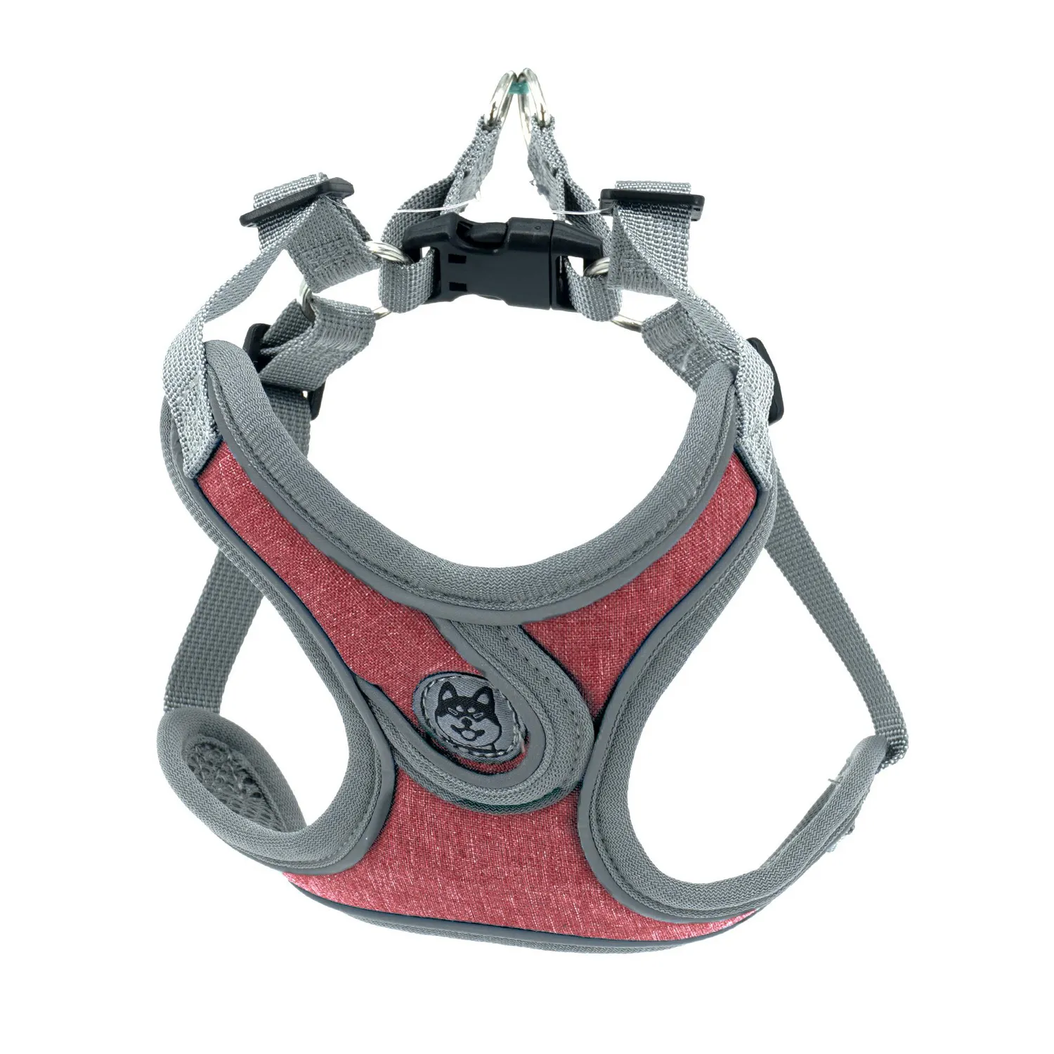 Pechera Correa Premium Para Perro Talla S Calabaza Pets 4