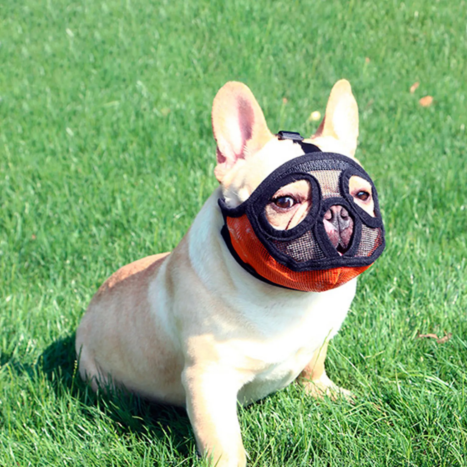 Bozal Para Perro Bulldog Talla S Calabaza Pets 4