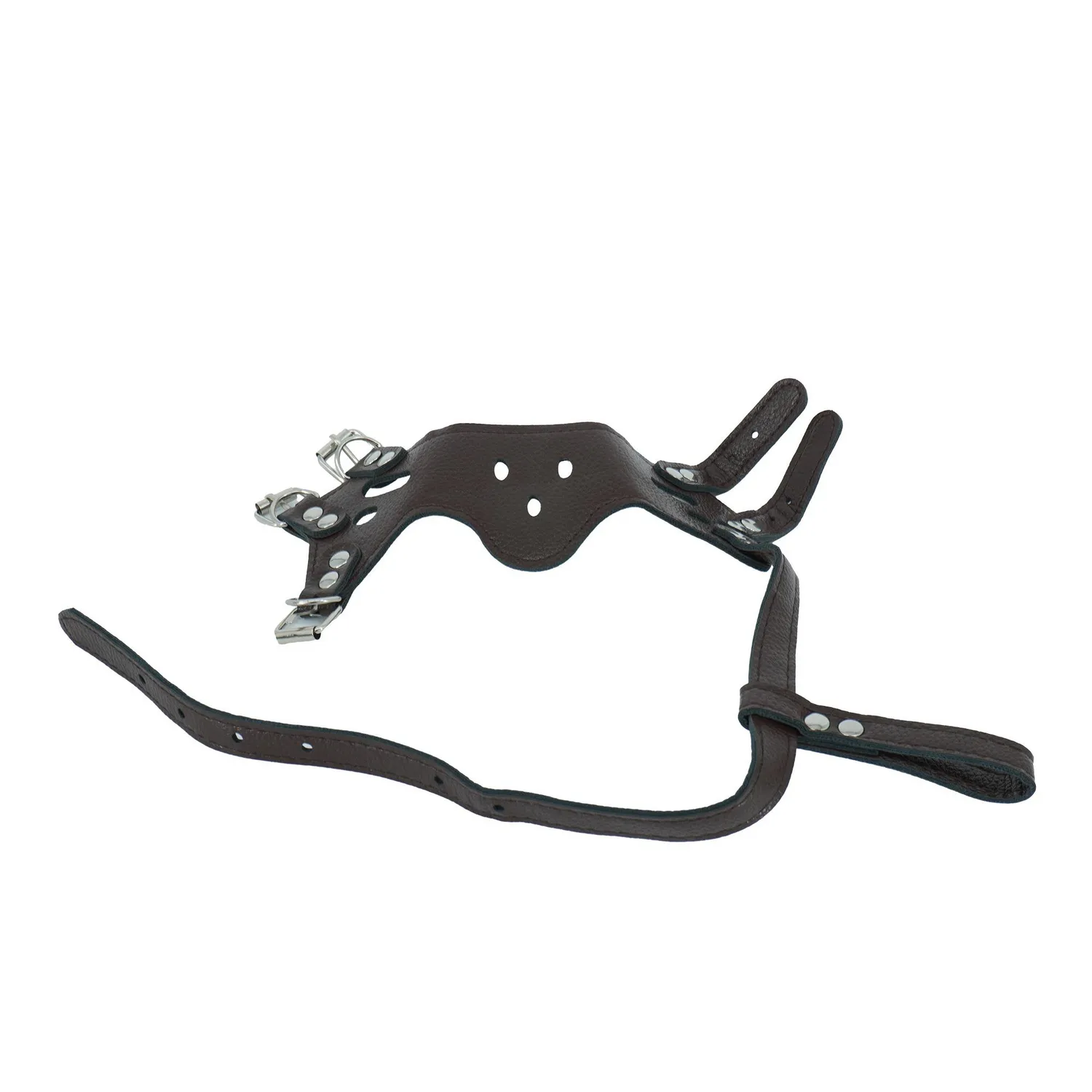 Bozal Para Perro Tipo Cuero Talla M Calabaza Pets 3