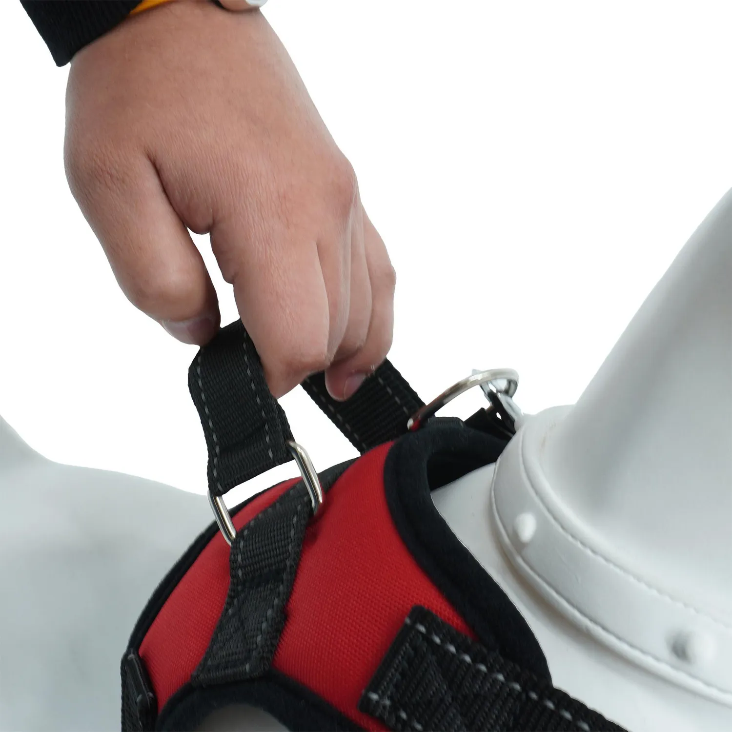 Traílla Para Perro Trenzada Con Arnés Talla L Calabaza Pets 4