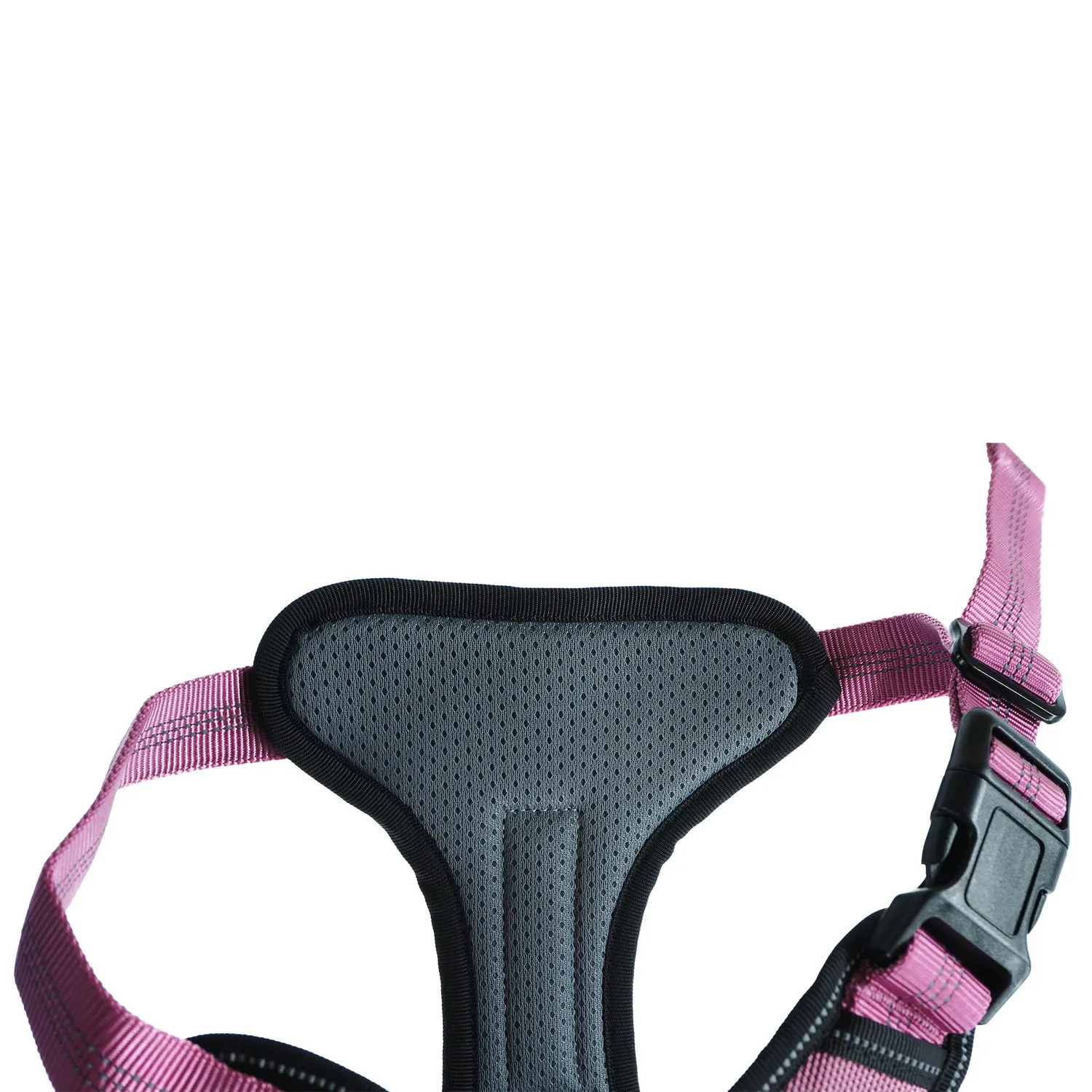 Pechera De Absorción De Impactos Para Perro Talla S Calabaza Pets 4