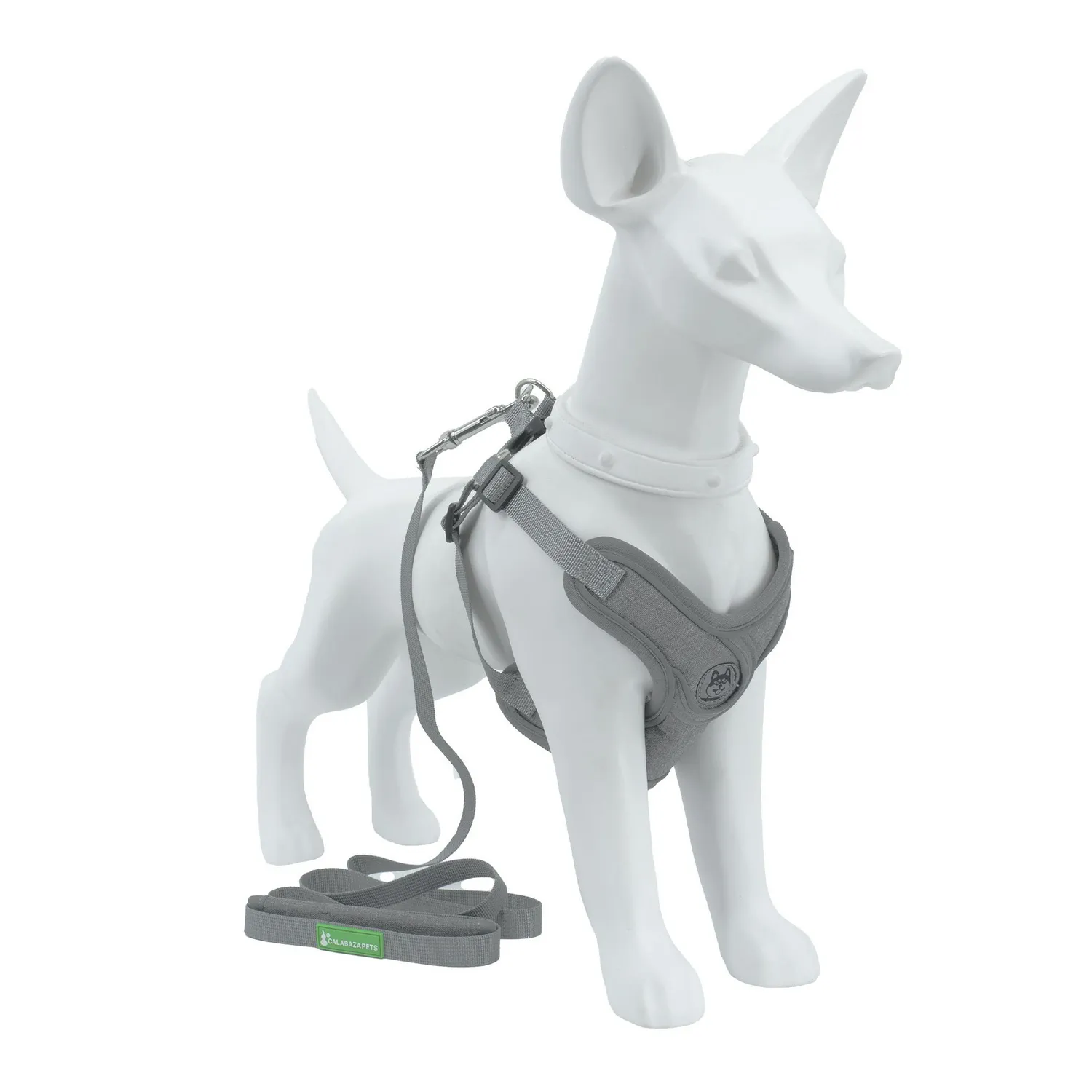 Pechera Correa Premium Para Perro Talla Xs Calabaza Pets