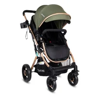 Bebesit Coche para Bebe Tipo Moises Gold Lx Verde Bebesit