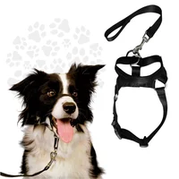 Collar Bozal de Entrenamiento Halti para Perros Talla L