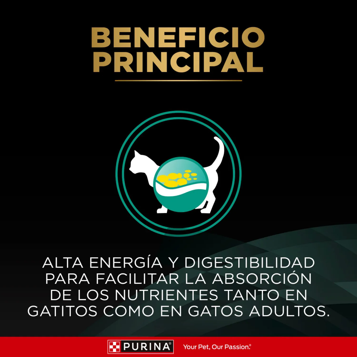 Comida Seca Para Gato Veterinaty Diet Urinary Feline 1.5kg 4