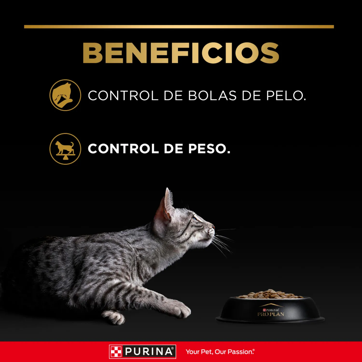 Comida Seca Para Gato Adulto Pro Plan Sterilized 1kg 4