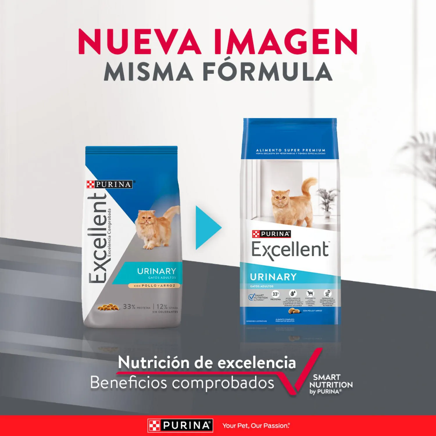 Comida Seca Para Gato Excellent Urinary 1kg 7